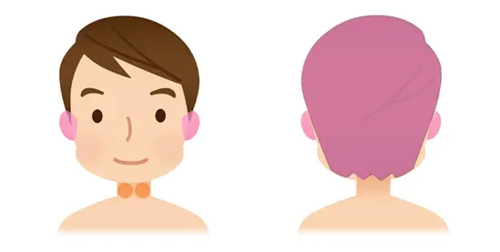 ステロイド依存性感音難聴の鍼治療A|治療範囲